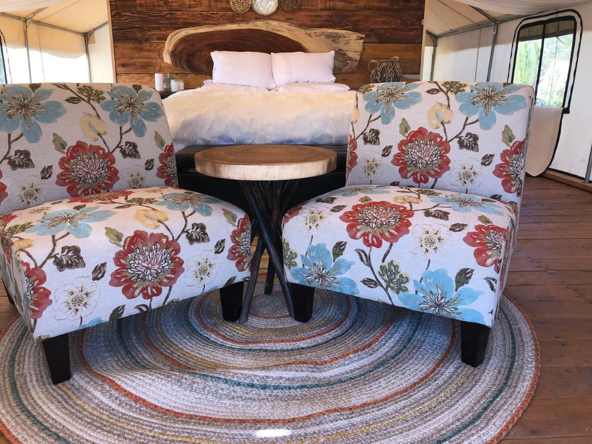 Casa Misiones Glamping Hotel Вале де Гуадалупе Екстериор снимка